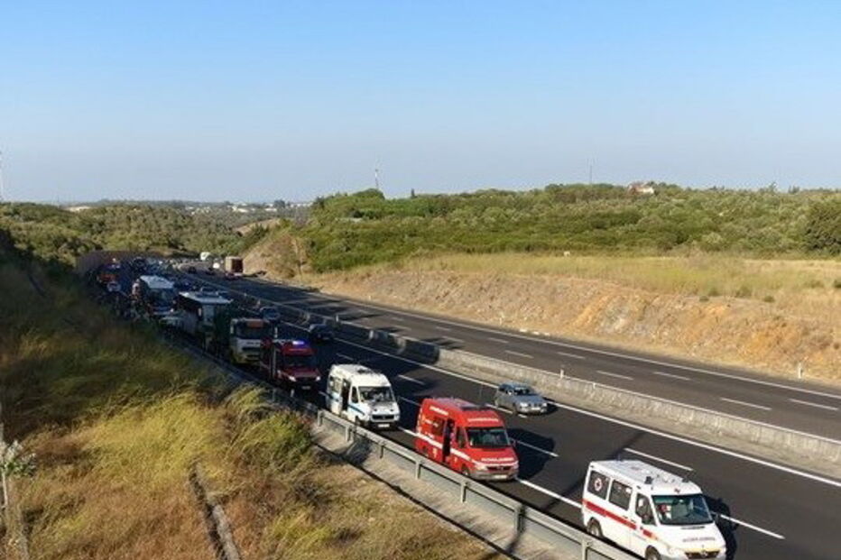 acidente, colisão, A1, feridos, mortos, autocarro, pesado de mercadorias
