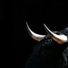 Arábia Saudita vai realizar encerro de touros semelhante a Pamplona