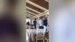 Ronaldo e Coentrão almoçam no Guincho