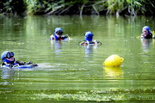 Mundo, França, Maëlys de Araújo, Pont-de-Beauvoisin, questões sociais, desaparecidos, demografia, emigrantes, rapto, sequestro, casamento, suspeito, lusodescendente