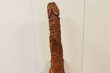 Pénis gigante foi abandonado num parque na Suíça