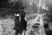 Madonna partilhou fotografias a cavalo