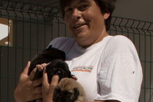 Lídia Antunes segura ao colo alguns dos cães recolhidos pela associação