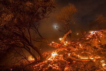 Incêndios florestais nos EUA