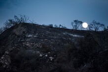 Incêndios florestais nos EUA