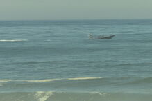 Corpo encontrado em praia de Espinho