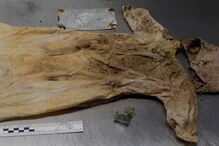 Lydia está em choque depois de descobrir que o filho Gary não foi enterrado