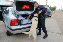 Autoridades reforçam medidas de segurança