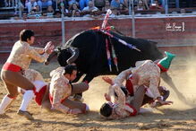 Forcados Amadores de Cuba