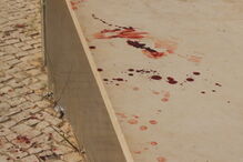 albufeira, desacatos, estrngeiros, turistas, desacatos