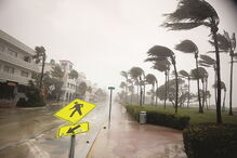 Vento forte derrubou árvores e gruas
