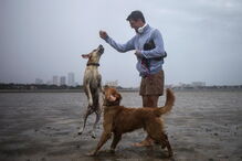 Imagens insólitas mostram destruição provocada pelo Irma