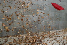 vento, meteorologia, 