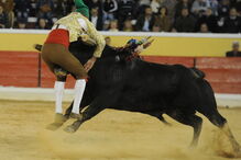Fernando Quintela na pega que lhe tirou a vida