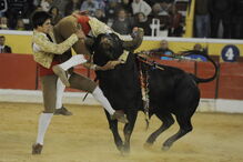 Fernando Quintela na pega que lhe tirou a vida