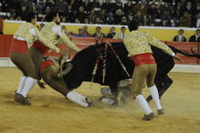 Fernando Quintela na pega que lhe tirou a vida