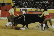 Fernando Quintela na pega que lhe tirou a vida