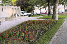 Homem que aliciou a menor pela redes sociais foi apanhado pela família no largo Monsenhor Joaquim Alves Brás 