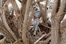 Furacão Maria aproxima-se das ilhas Virgem Americanas, onde forças armadas tomam posição