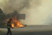 Proteção Civil sob investigação