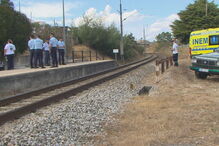 2017-09-21_16_00.39 011DDE5B.jpg