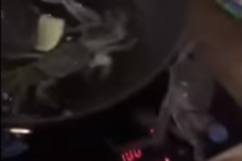 Caranguejo sai da frigideira e salva 'amigos' de serem cozinhados