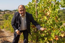 Fernando Tavares Pereira