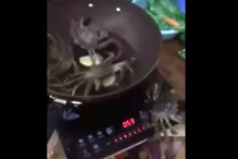 2017-09-22_11_24.28 fogao.png