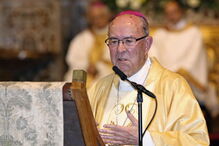 D. Manuel Martins