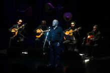 João Ferreira-Rosa, fado, fadista, música