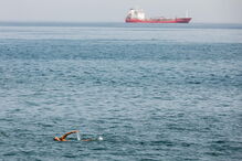 2017-09-25_14_44.29 M2-14692977.JPG