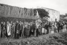 Governo, Divino Espírito, Capelinhos, cônsul dos Estados Unidos da América, Faial, Norberto Fraião, Açores, O Telégrafo, Capelo, Praia do Norte, Misericórdia Divina, Santo, Vulcanologia, Núcleo Cultural da Horta, Horta