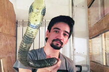 Arslan Valeev, encantador de serpentes, mostrou-se a ser mordido por uma cobra