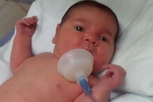 Maira Cristina Trevisan, Brasil, Gabrielly Ferreira, Paraná, questões sociais, saúde, bebé, gravidez, excesso de peso, criança, maternidade, parto, cesariana