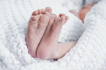 isabel dos santos, filho