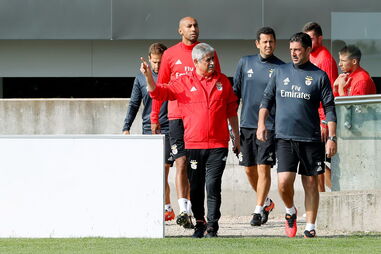 Jardel, Rui Vitória, Benfica, Luís Filipe Vieira, Pizzi, Paulo Mourão, Portimonense, Fejsa, Grimaldo, Salvio