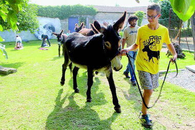 Associação para o Estudo e Proteção do Gado Asinino, Trofa, Zurra, Coronado, Associação para a Proteção do Vale do Coronado, Miranda do Douro, APVC, AEPGA, Aula do Burro, artes, cultura e entretenimento, questões sociais, política
