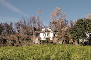 O incêndio de Pedrógão Grande chegou a Vila Facaia no dia em que deflagrou. Avançou por onde quis e destruiu casas 
