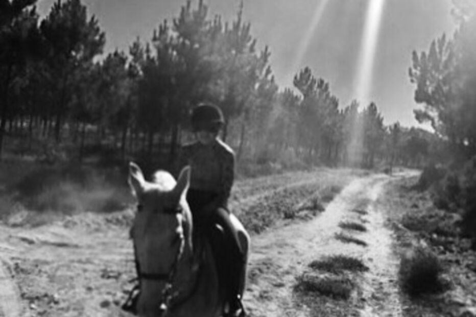 Madonna partilhou fotografias a cavalo
