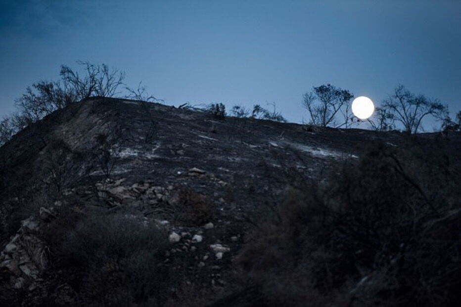Incêndios florestais nos EUA