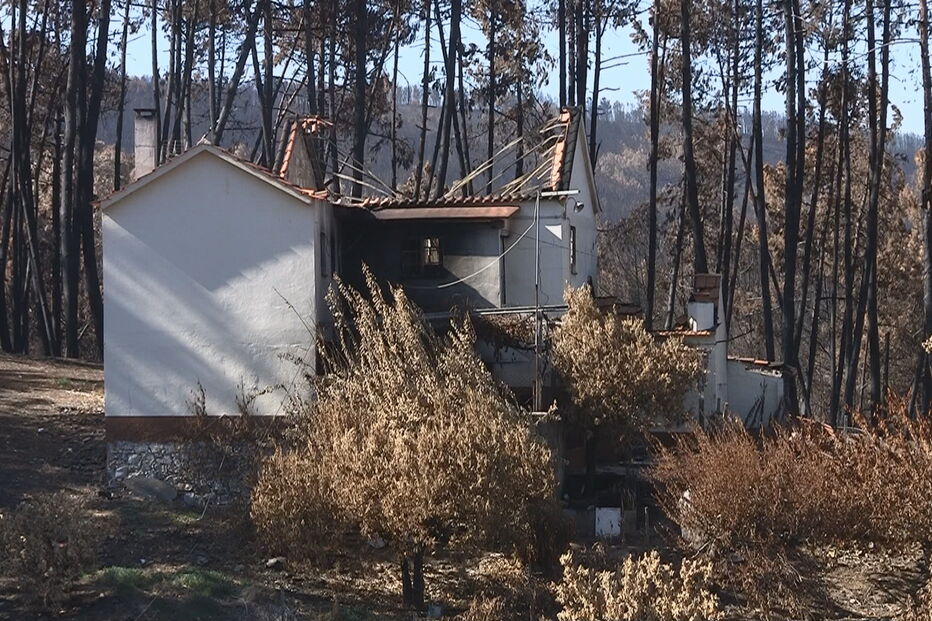 Juntas de freguesia de Pedrogão sentem-se ignoradas no processo de reconstrução
