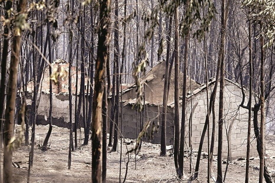 Chamas destruíram várias habitações em Pedrógão Grande