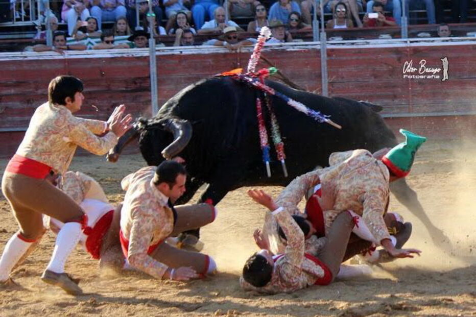 Forcados Amadores de Cuba