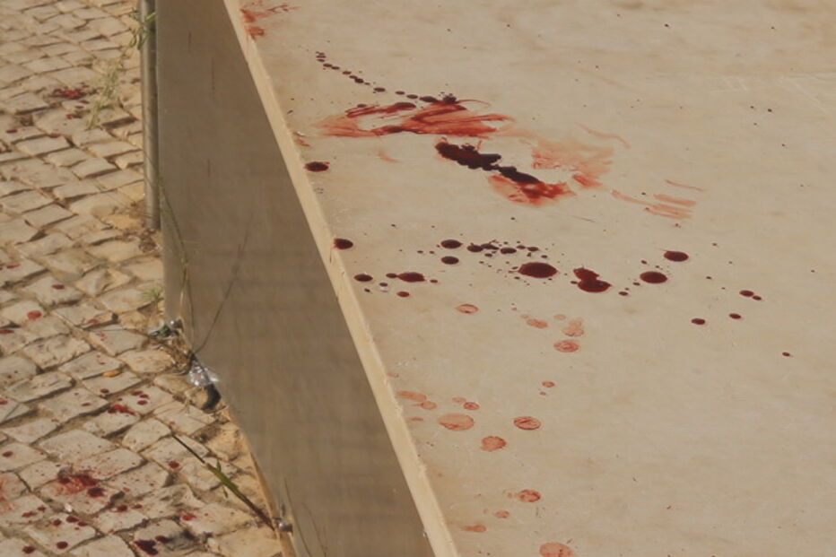 albufeira, desacatos, estrngeiros, turistas, desacatos