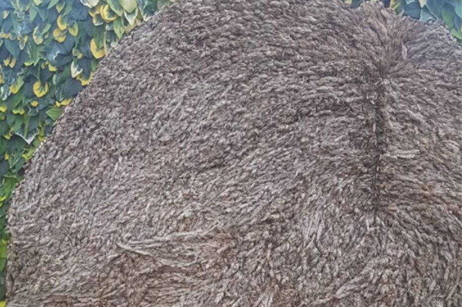 Homenagem à Princesa Diana