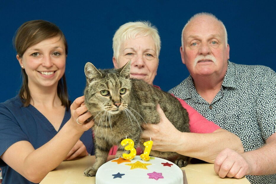 Morreu Nutmeg, o gato mais velho do mundo. Tinha 32 anos