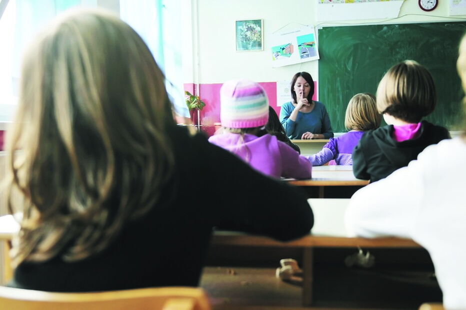 Covilhã, Cidadania, Desenvolvimento, Flexibilidade Curricular, Estratégia Nacional, Governo, Autonomia, ministro da Educação, Tiago Brandão Rodrigues, João Dias da Silva, secretário-geral da Federação Nacional de Educação, Observatório da Deficiência e Direitos Humanos, Portugal, política, governo, executivo, questões sociais