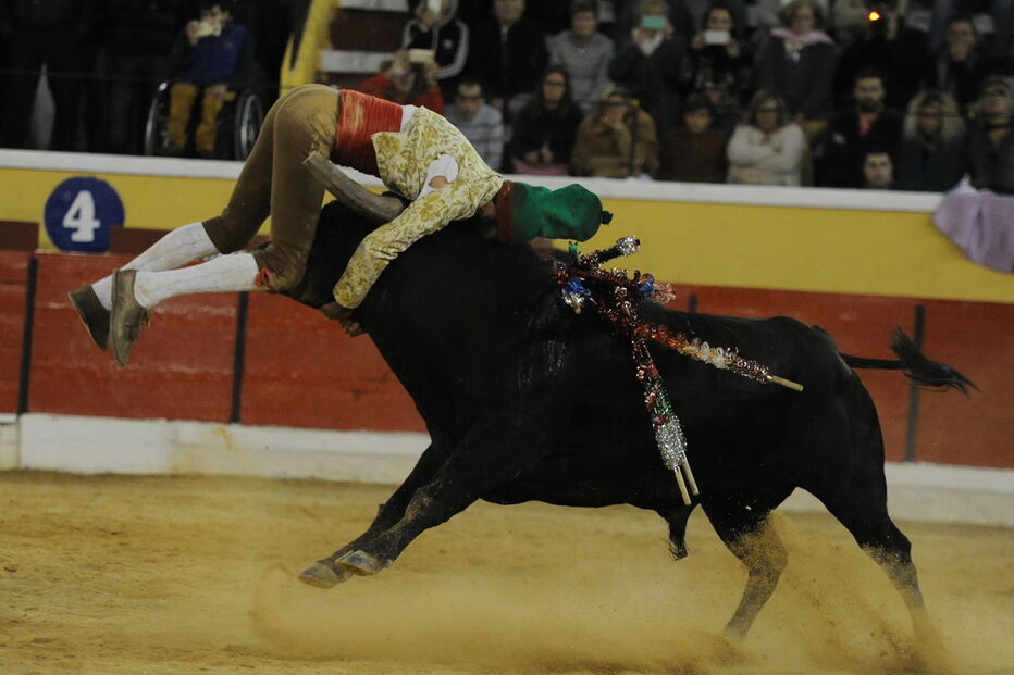Fernando Quintela na pega que lhe tirou a vida