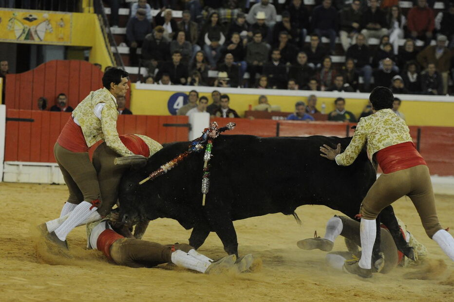 Fernando Quintela na pega que lhe tirou a vida