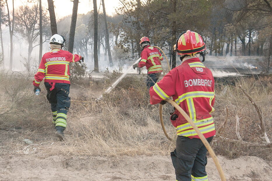 Ataque musculado inicial evitou males maiores, mas vento intenso dificultou trabalho dos bombeiros e proteção civil